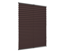 Day and night pleated window shade