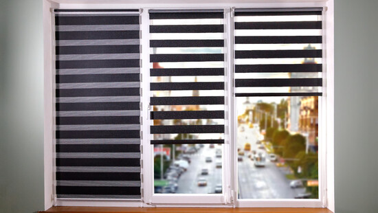 
										Day and Night Blackout Blinds
																						