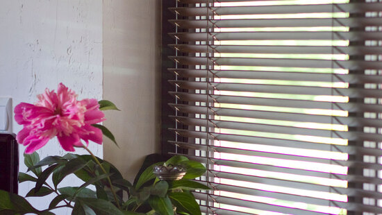 
										Bamboo blinds 50 mm
																						